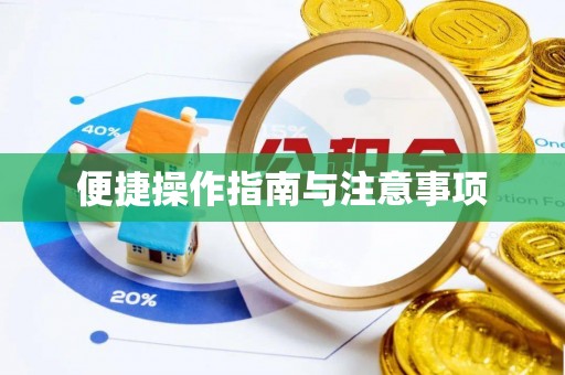 洛龙便捷操作指南与注意事项