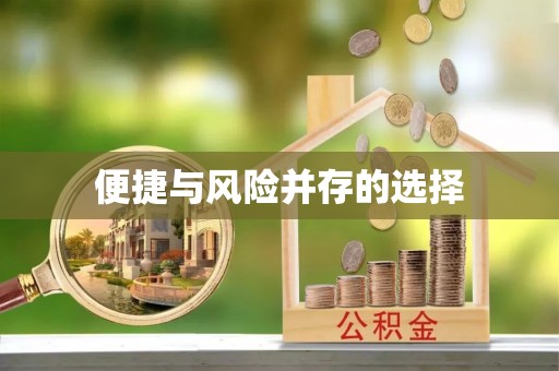 洛龙便捷与风险并存的选择