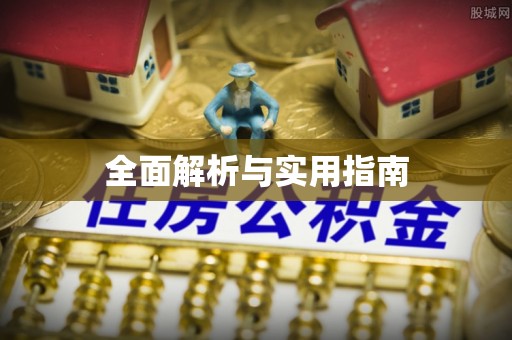 洛龙全面解析与实用指南