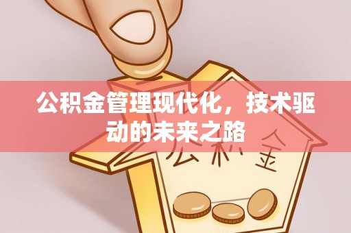 洛龙公积金管理现代化，技术驱动的未来之路